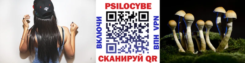 Галлюциногенные грибы Psilocybine cubensis  Осташков 