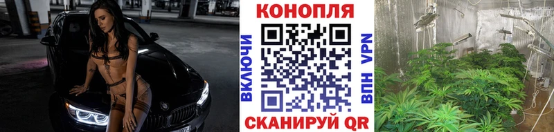 Каннабис White Widow где найти Осташков